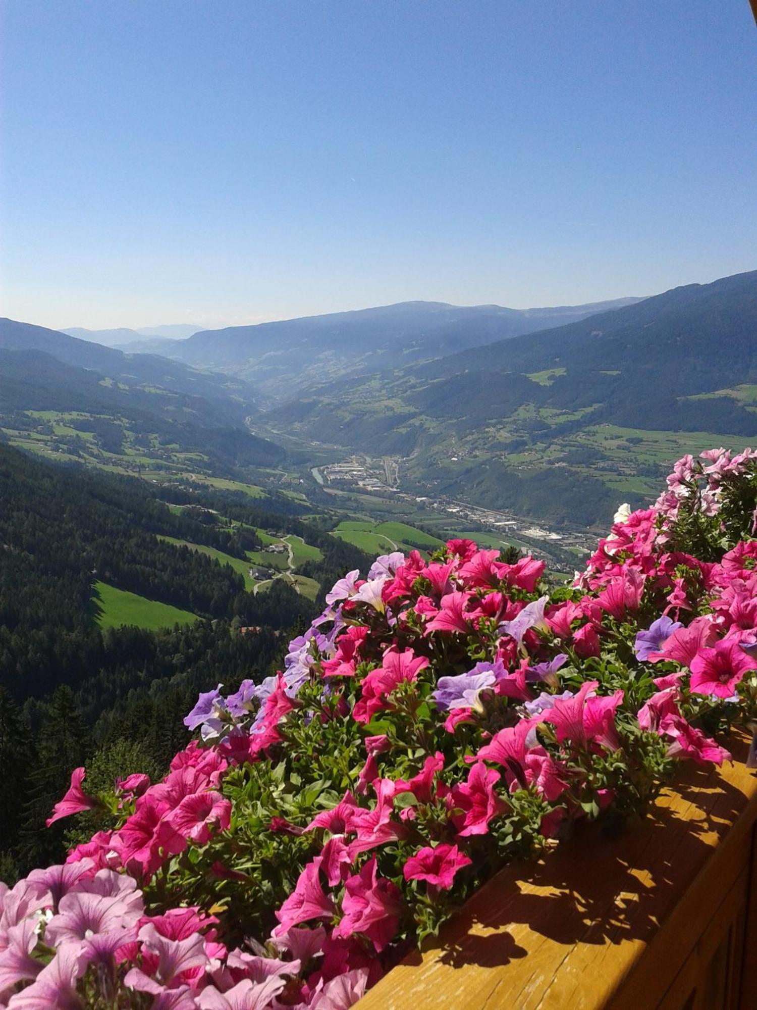 Kaserhof Wandern- Alleinlage - Ruhig- Top Aussicht 브레싸노네 외부 사진